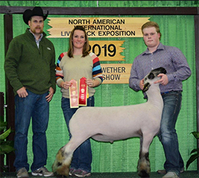 Niemann Club Lambs Winners