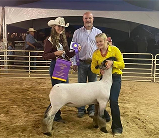 Niemann Club Lambs Winners